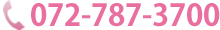 072-787-3700